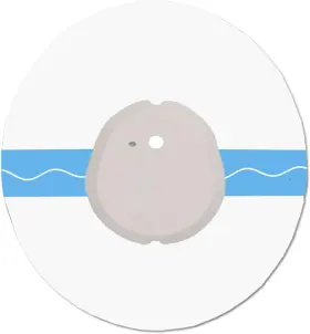 Hechuan 445016364327 G7 Adhesive Patches Waterproof 60 Pack Transparent Water-resistant Overpatc