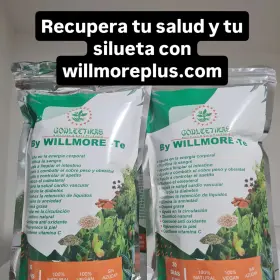 1754.581.7624 Willmoreplus T Organico Willmoret