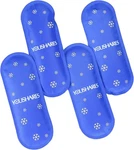 Youshares Ice Packs For Insulin Travel Case 4 Count (pack Of 1),. Fixed Price $22.16.