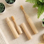 3 Pcs Foldable Travel Toothbrushes Case Holder Kit Soft Bristle Tr.... Fixed Price $22.25.